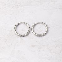 1 Paire Style Simple Cercle Métal Femmes Boucles D'oreilles Cerceau main image 4