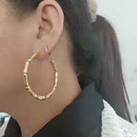 1 Pair Fashion Bamboo Alloy Plating Metal Women's Earrings main image 4