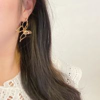 1 Pair Fashion Insect Metal Plating Women's Earrings main image 5