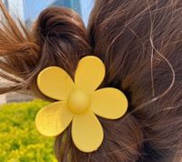 Frau Einfacher Stil Blume Kunststoff Harz Aushöhlen Haarkrallen sku image 6