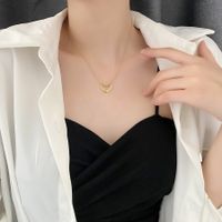 Titan Stahl Einfacher Stil Herzform Halskette Mit Anhänger main image 5