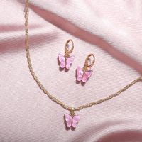 1 Set Simple Style Butterfly Arylic Alloy Women's Earrings Necklace main image 2