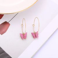 1 Pair Simple Style Butterfly Arylic Alloy Women's Drop Earrings main image 3