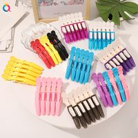 Women'S Casual Solid Color Plastic Iron Hair Clip main image 1