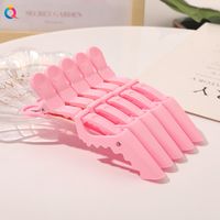 Women'S Casual Solid Color Plastic Iron Hair Clip sku image 2