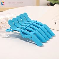 Women'S Casual Solid Color Plastic Iron Hair Clip sku image 1