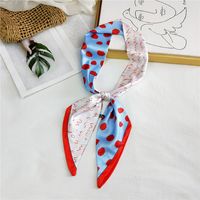 Women's Sweet Polka Dots Heart Shape Butterfly Polyester Satin Printing Silk Scarves sku image 16