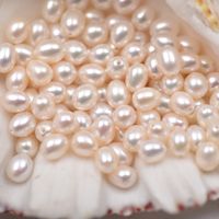 1 Piece Fashion Solid Color Freshwater Pearl Jewelry Accessories main image 1