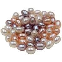 Fashion Solid Color Freshwater Pearl Plating Jewelry Accessories 1 Piece main image 4