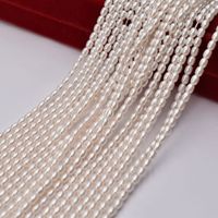 Einfacher Stil Einfarbig Künstliche Perle Schmuckzubehör In Masse main image 1