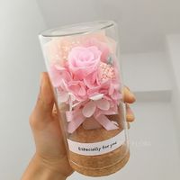 Ing Bottle Dried Flowers Bouquet Mini Glass Cover Cork Ornament Decoration Teacher's Day Christmas Gift main image 5