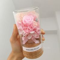 Ing Bottle Dried Flowers Bouquet Mini Glass Cover Cork Ornament Decoration Teacher's Day Christmas Gift sku image 6