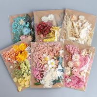 Tuanjian Yongsheng Dried Flower Diy Material Package Painting With Photo Frame Circular Fan Greeting Card Handmade Bouquet Real Flower Epoxy Embossing Bag main image 1