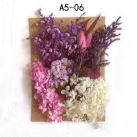 Tuanjian Yongsheng Dried Flower Diy Material Package Painting With Photo Frame Circular Fan Greeting Card Handmade Bouquet Real Flower Epoxy Embossing Bag sku image 6