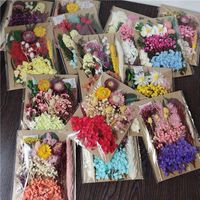 Tuanjian Yongsheng Dried Flower Diy Material Package Painting With Photo Frame Circular Fan Greeting Card Handmade Bouquet Real Flower Epoxy Embossing Bag main image 2