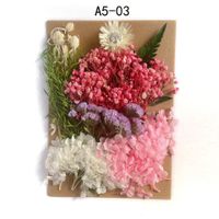 Tuanjian Yongsheng Dried Flower Diy Material Package Painting With Photo Frame Circular Fan Greeting Card Handmade Bouquet Real Flower Epoxy Embossing Bag sku image 3