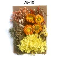 Tuanjian Yongsheng Dried Flower Diy Material Package Painting With Photo Frame Circular Fan Greeting Card Handmade Bouquet Real Flower Epoxy Embossing Bag sku image 10