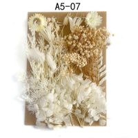 Tuanjian Yongsheng Dried Flower Diy Material Package Painting With Photo Frame Circular Fan Greeting Card Handmade Bouquet Real Flower Epoxy Embossing Bag sku image 7