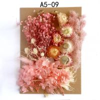 Tuanjian Yongsheng Dried Flower Diy Material Package Painting With Photo Frame Circular Fan Greeting Card Handmade Bouquet Real Flower Epoxy Embossing Bag sku image 9
