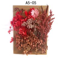 Tuanjian Yongsheng Dried Flower Diy Material Package Painting With Photo Frame Circular Fan Greeting Card Handmade Bouquet Real Flower Epoxy Embossing Bag sku image 5