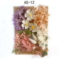 Tuanjian Yongsheng Dried Flower Diy Material Package Painting With Photo Frame Circular Fan Greeting Card Handmade Bouquet Real Flower Epoxy Embossing Bag sku image 12