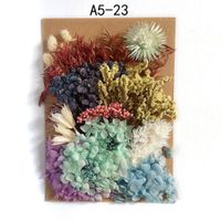 Tuanjian Yongsheng Dried Flower Diy Material Package Painting With Photo Frame Circular Fan Greeting Card Handmade Bouquet Real Flower Epoxy Embossing Bag sku image 22