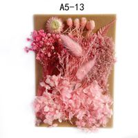 Tuanjian Yongsheng Dried Flower Diy Material Package Painting With Photo Frame Circular Fan Greeting Card Handmade Bouquet Real Flower Epoxy Embossing Bag sku image 13
