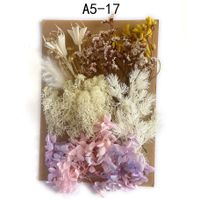 Tuanjian Yongsheng Dried Flower Diy Material Package Painting With Photo Frame Circular Fan Greeting Card Handmade Bouquet Real Flower Epoxy Embossing Bag sku image 17