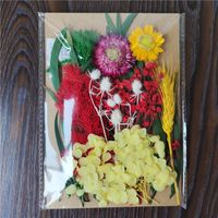 Tuanjian Yongsheng Dried Flower Diy Material Package Painting With Photo Frame Circular Fan Greeting Card Handmade Bouquet Real Flower Epoxy Embossing Bag sku image 27