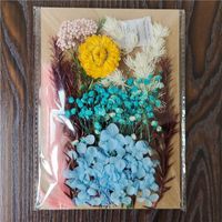 Tuanjian Yongsheng Dried Flower Diy Material Package Painting With Photo Frame Circular Fan Greeting Card Handmade Bouquet Real Flower Epoxy Embossing Bag sku image 23