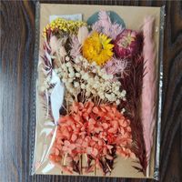 Tuanjian Yongsheng Dried Flower Diy Material Package Painting With Photo Frame Circular Fan Greeting Card Handmade Bouquet Real Flower Epoxy Embossing Bag sku image 26