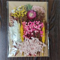 Tuanjian Yongsheng Dried Flower Diy Material Package Painting With Photo Frame Circular Fan Greeting Card Handmade Bouquet Real Flower Epoxy Embossing Bag sku image 21