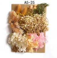 Tuanjian Yongsheng Dried Flower Diy Material Package Painting With Photo Frame Circular Fan Greeting Card Handmade Bouquet Real Flower Epoxy Embossing Bag sku image 24