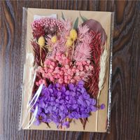 Tuanjian Yongsheng Dried Flower Diy Material Package Painting With Photo Frame Circular Fan Greeting Card Handmade Bouquet Real Flower Epoxy Embossing Bag sku image 28
