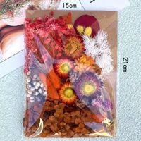 Tuanjian Yongsheng Dried Flower Diy Material Package Painting With Photo Frame Circular Fan Greeting Card Handmade Bouquet Real Flower Epoxy Embossing Bag sku image 25
