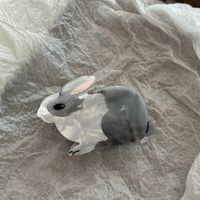 Mignon Lapin Feuilles D'acétate Griffes De Cheveux 1 Pièce sku image 3