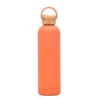 Fashion Solid Color Stainless Steel Thermos Cup sku image 4