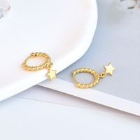Fashion Star Copper Plating Earrings 1 Pair main image 2