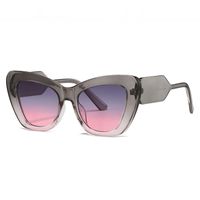 Fashion Leopard Pc Cat Eye Full Frame Women's Sunglasses sku image 2