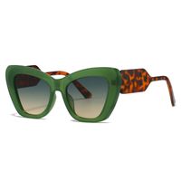 Fashion Leopard Pc Cat Eye Full Frame Women's Sunglasses sku image 4