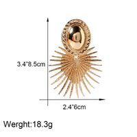 1 Pair Fashion Oval Alloy Metal Drop Earrings main image 3