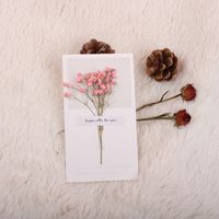 Valentinstag Romantisch Getrocknete Blumen Gypsophila Papier Datum Festival Karte sku image 9