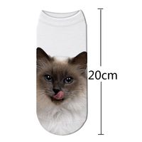 Unisex Sports Cat Polyester Cotton Polyester Printing Ankle Socks A Pair main image 5
