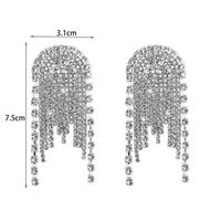 1 Pair Shiny Tassel Rhinestone Inlay Crystal Silver Plated Women's Drop Earrings main image 6