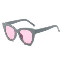 Retro Geometric Pc Cat Eye Full Frame Men's Sunglasses sku image 2