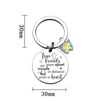 1 Piece Simple Style Letter Butterfly Stainless Steel Women's Bag Pendant Keychain main image 4