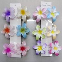 Japanese Style Flower Plastic Stoving Varnish Hair Claws 1 Piece main image 2