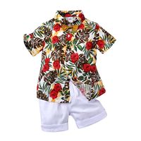 Casual Flower Bowknot Cotton Boys Clothing Sets main image 4