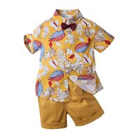 Casual Flower Bowknot Cotton Boys Clothing Sets main image 3