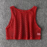 Sexy Solid Color Polyester Round Neck Mesh Hollow Out Eyelet Top main image 4